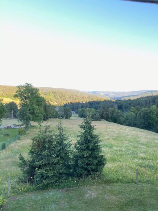 Appartement Lumineux Avec Vue Sur Les Montagnes Morbier Exteriör bild