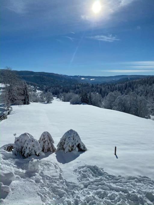 Appartement Lumineux Avec Vue Sur Les Montagnes Morbier Exteriör bild